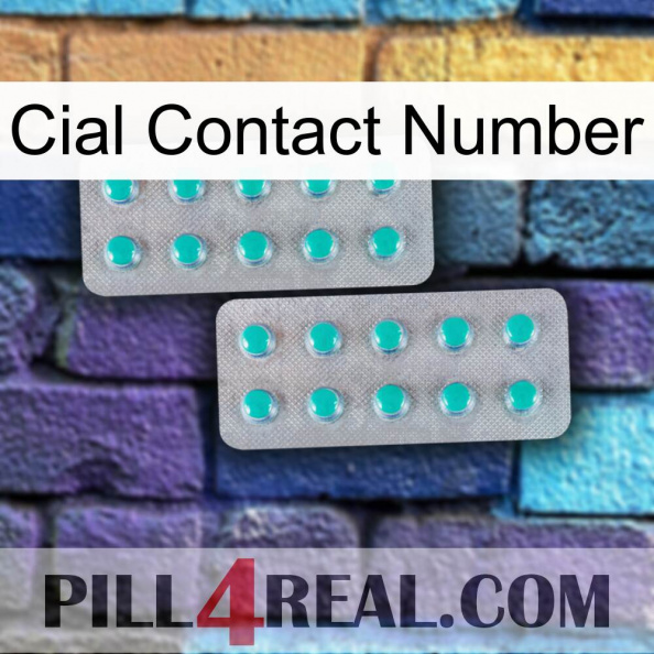 Cial Contact Number 29.jpg